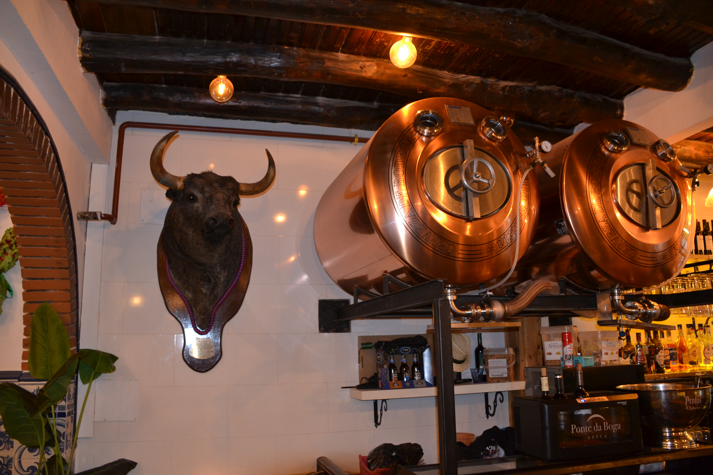 Cabeza de toro y tanques de cobre en la barra